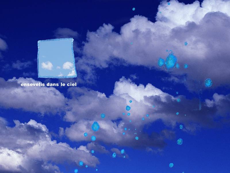 c_5c.jpg (40378 octets)