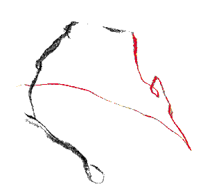 niv2_1A copier.gif (2264 octets)