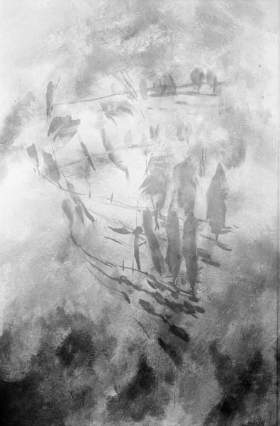 r16.jpg (35443 octets)