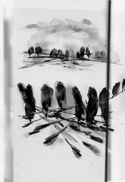 r2.jpg (34312 octets)